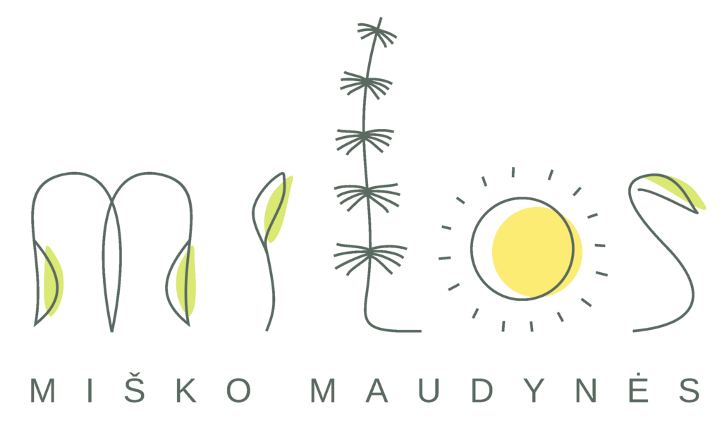 miško maudynės