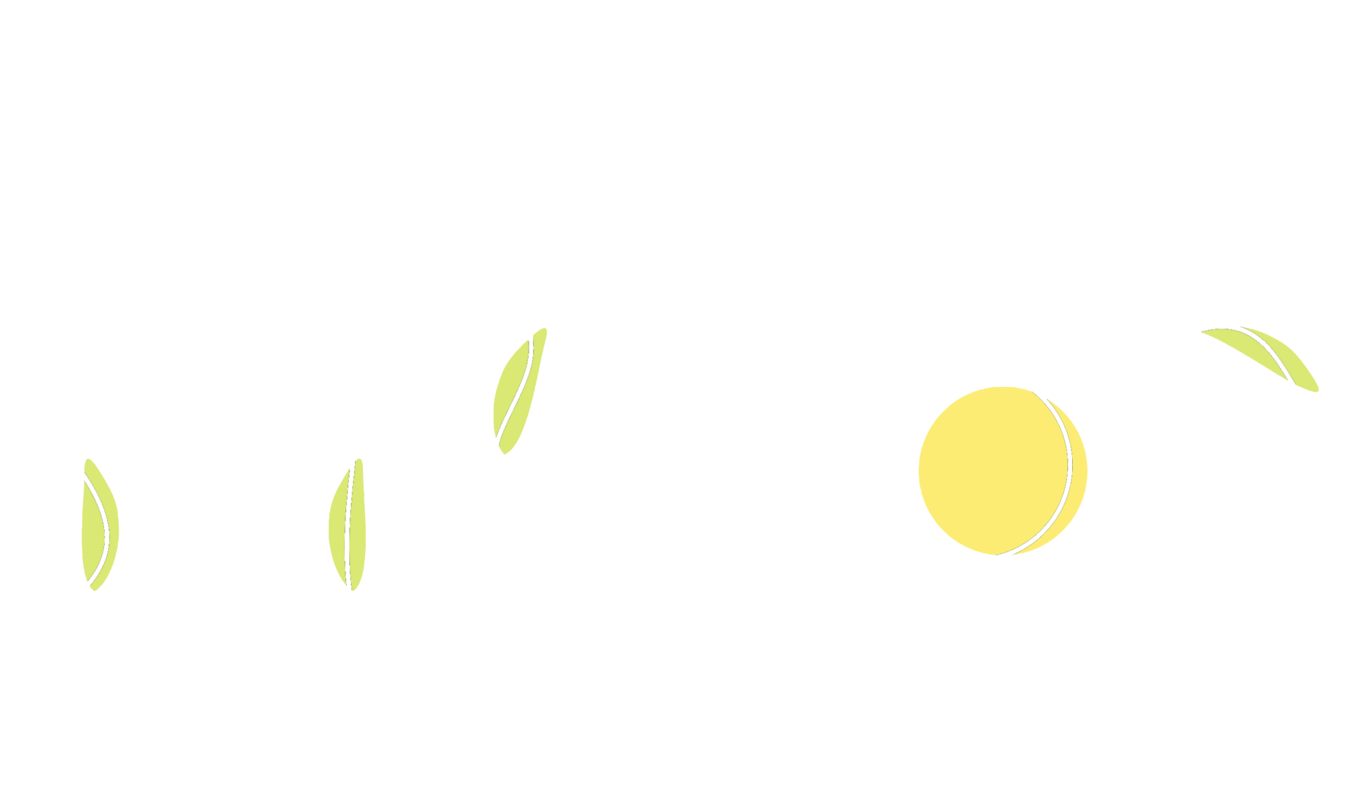 miško maudynės