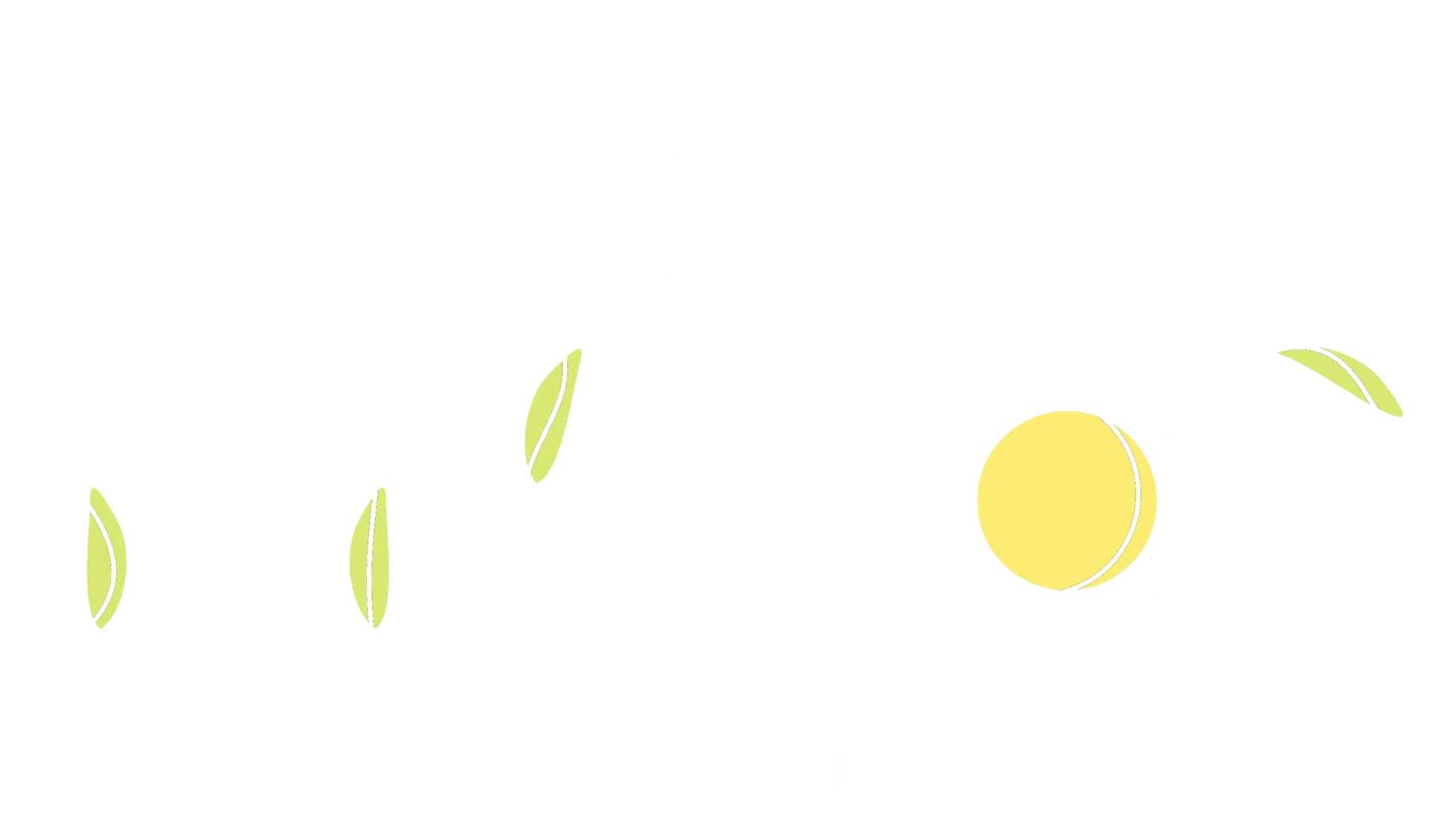 miško maudynės