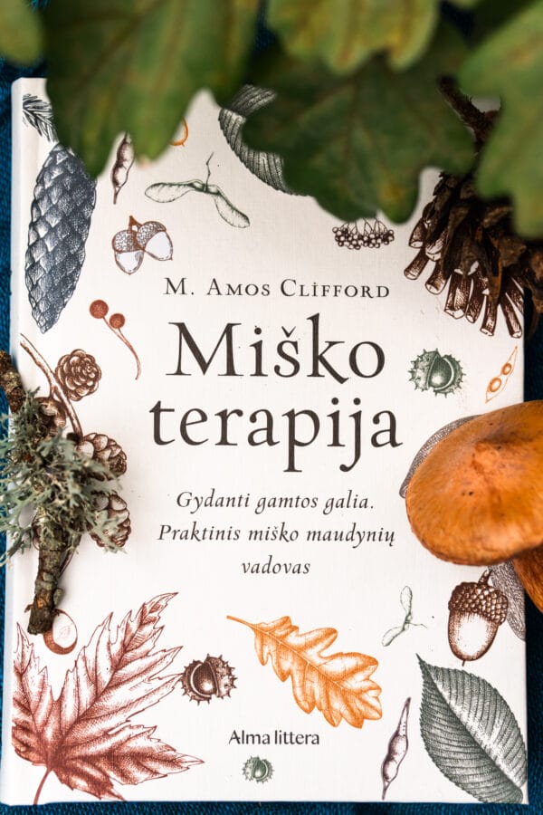 Rinkinys Nr. 2 „Ažu širdies tveria”