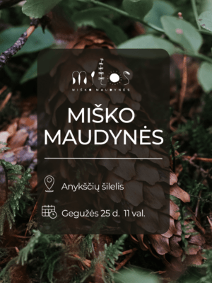 2025.05.25 Miško maudynės Anykščių šilely