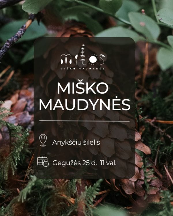 2025.05.25 Miško maudynės Anykščių šilely