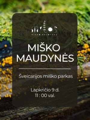 Misko maudynes