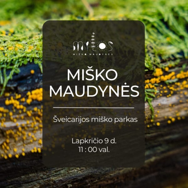 Misko maudynes